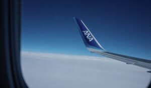 ANA All Nippon Winglet