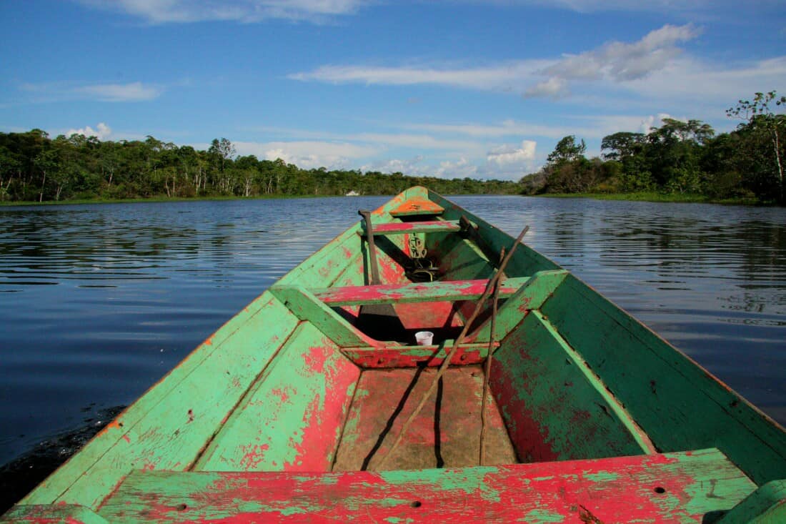 Amazonas bei Manaus