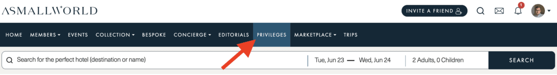 ASMALLWORLD navigation showing Privileges