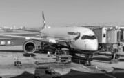 British Airways A350 Graustufen