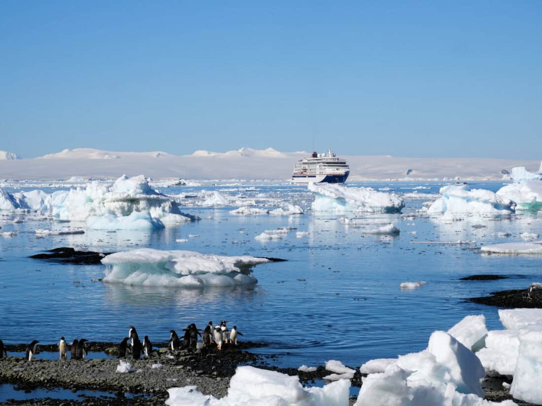 Brown Bluff Eisberge Schiff