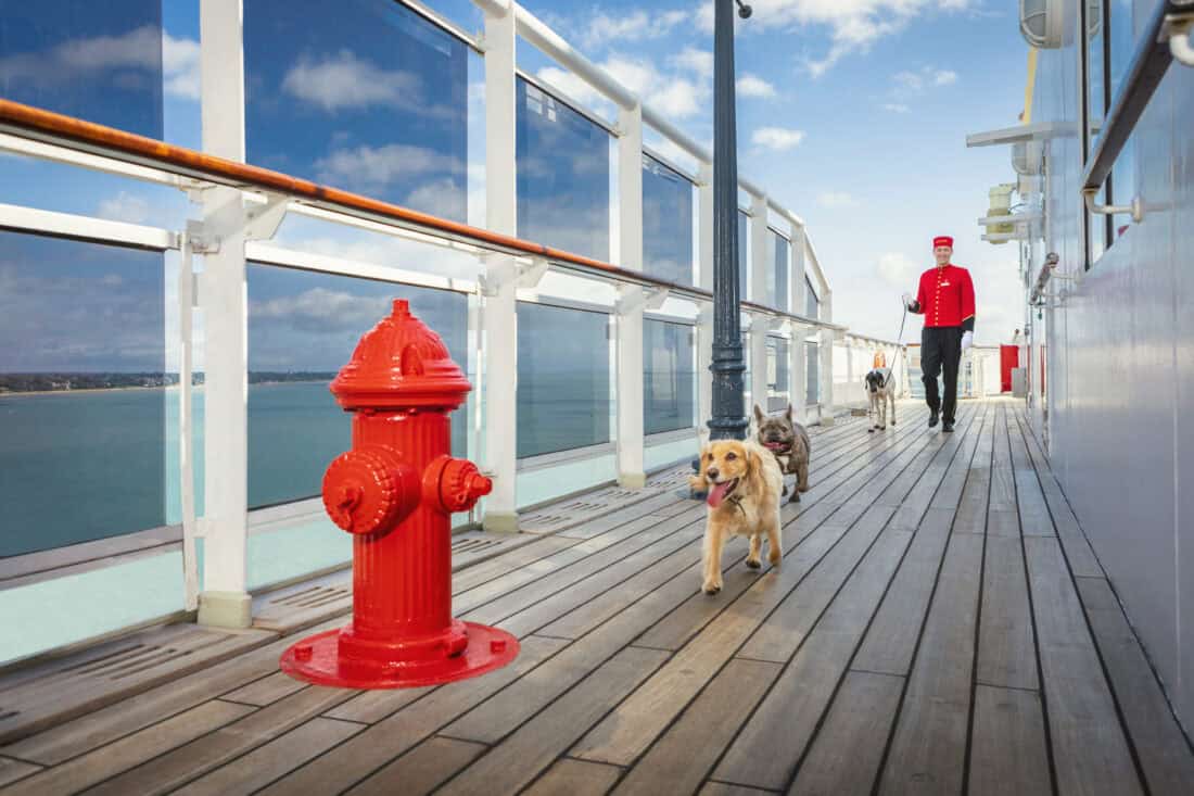 Cunard Queen Mary 2 Hunde