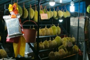 Durian Markt Malaysia