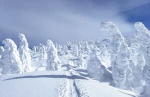 Hakkoda Schneemonster Header