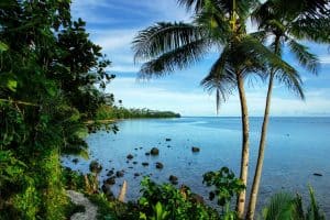 Lavena Costal Walk auf Taveuni Island, Fischi