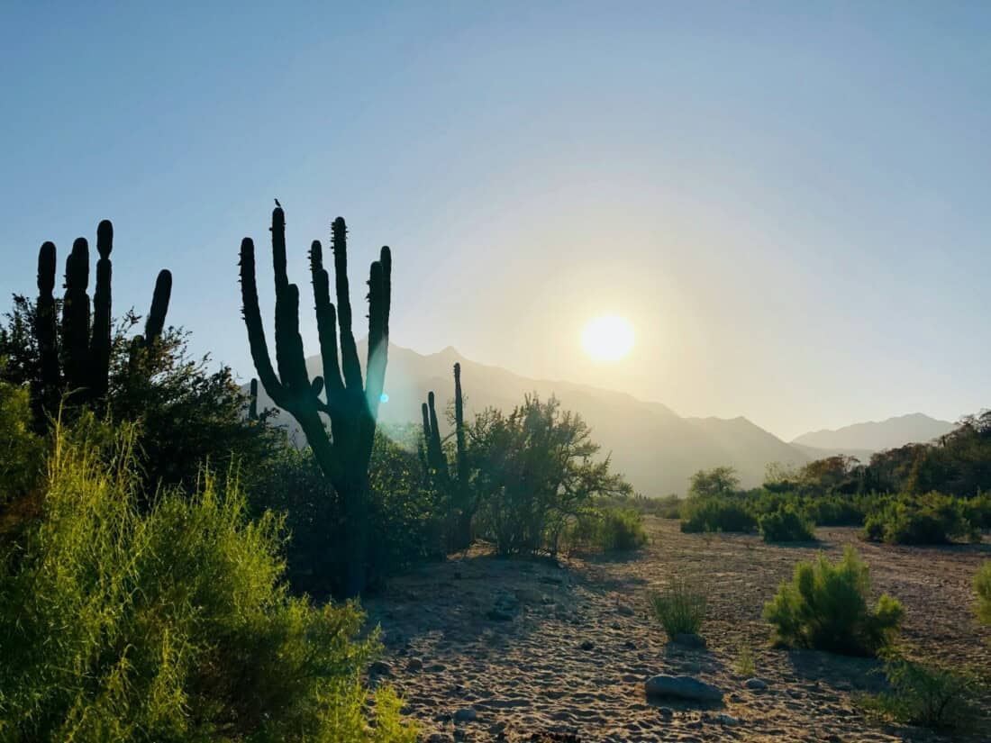 San Jose del Cabo