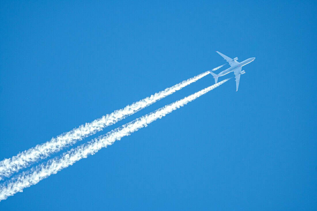 Turkish Airlines (2)