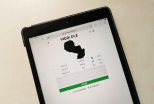 Worldle iPad