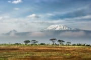 Kilimandscharo, Tansania